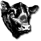 The Aynho Herd